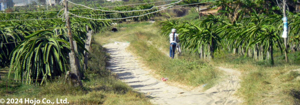 083：ベトナムツーリングフォト