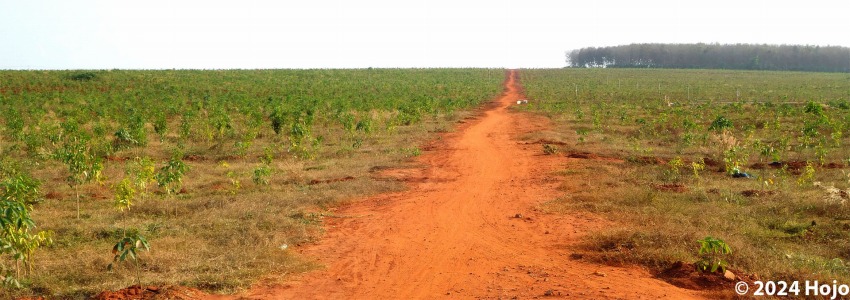 ベトナムツーリングフォト/Dat Do, Ba Ria - Vung Tau, Vietnam